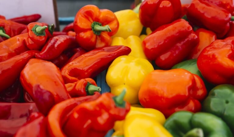 How To Grow Buckets Full Of Bell Peppers